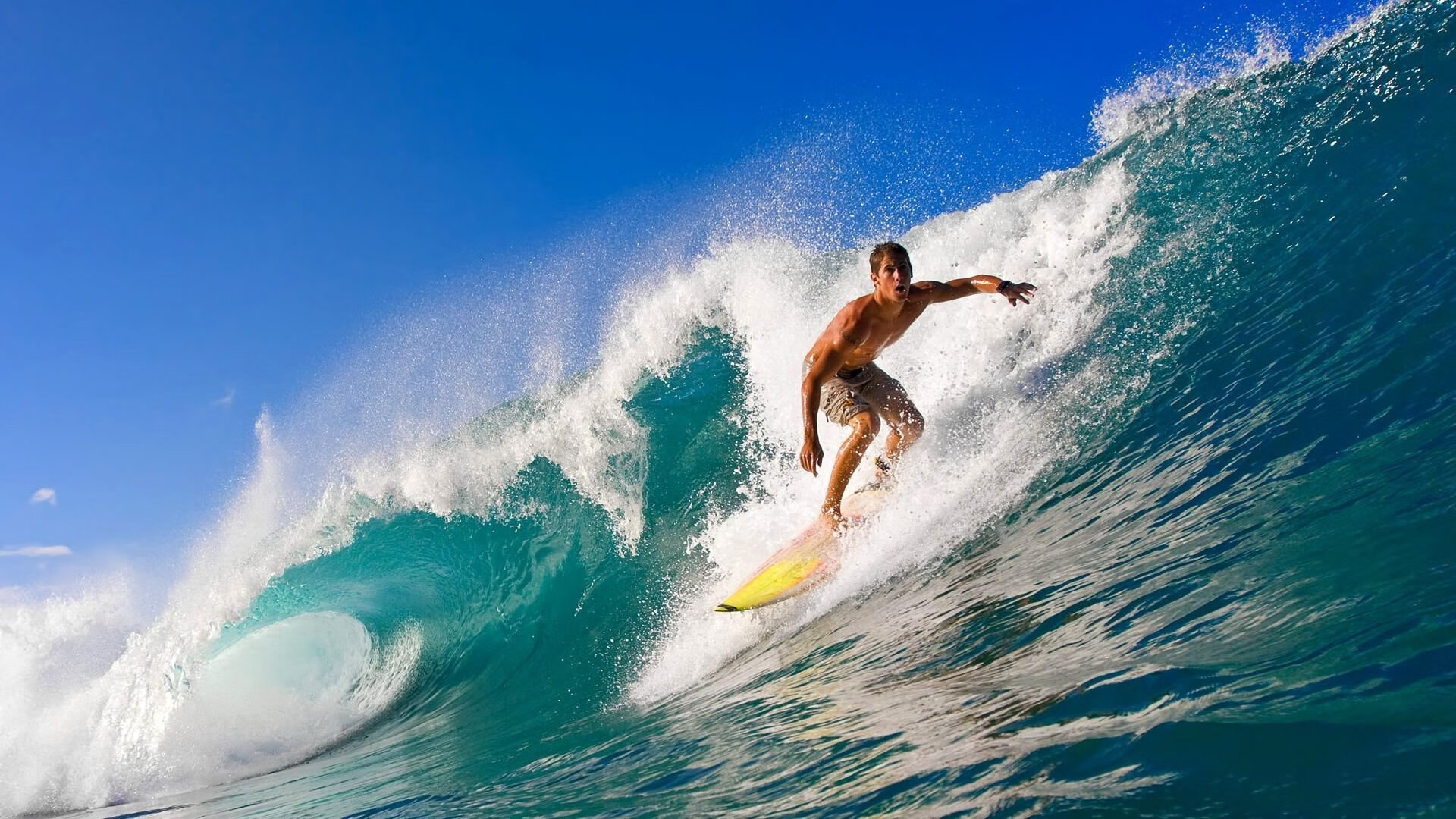 “2025世界游泳锦标赛：水上芭蕾展示别样优雅与力量”